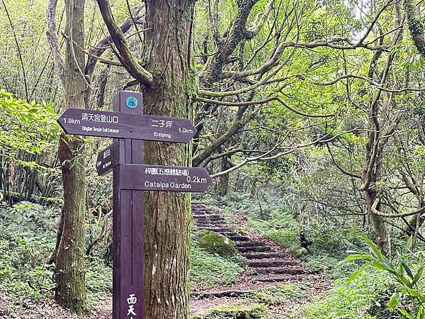 陽明山西段五連峰縱走。向天山。面天山。大屯山西峰。大屯山南峰