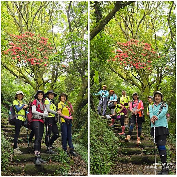 陽明山西段五連峰縱走。向天山。面天山。大屯山西峰。大屯山南峰