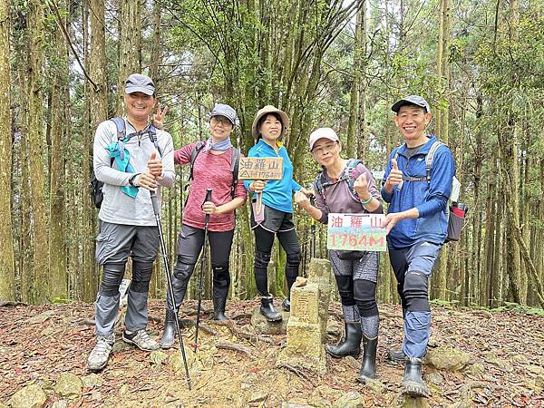 油羅山走進迷霧森林。陽光竹林。新竹縣五峰鄉。