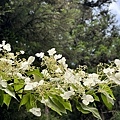 IMG_4978.JPG