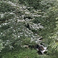 IMG_5015.JPG