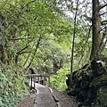 IMG_5028.JPG
