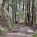 IMG_5032.JPG