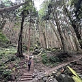 IMG_5055.JPG