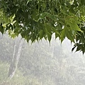 IMG_5062.JPG