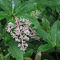 IMG_9358.JPG