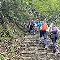 IMG_9549.JPG