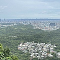 IMG_9556.JPG