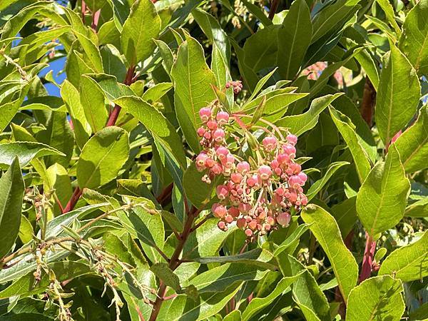 美國66號公路之溫斯洛 Take It Esy。約瑟夫城傑克 美國66號公路之溫斯洛 Take It Esy。約瑟夫城傑克