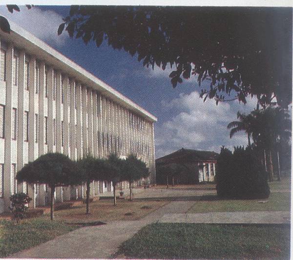 1982自然科學館含日式建築.jpg
