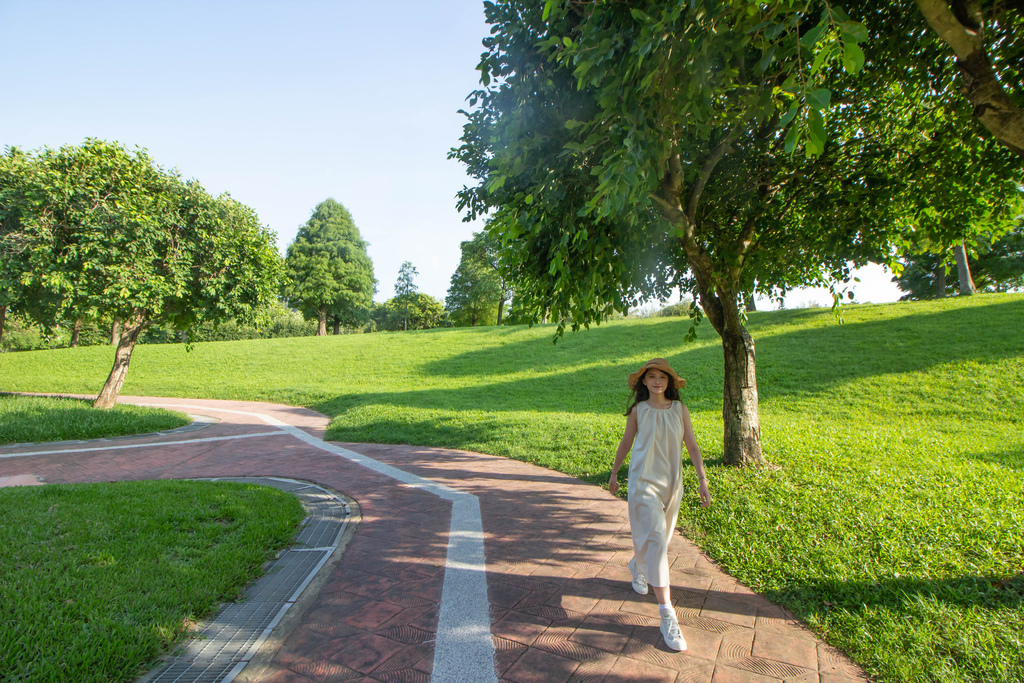 埔頂公園步道2