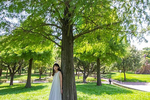 埔頂公園樹蔭下