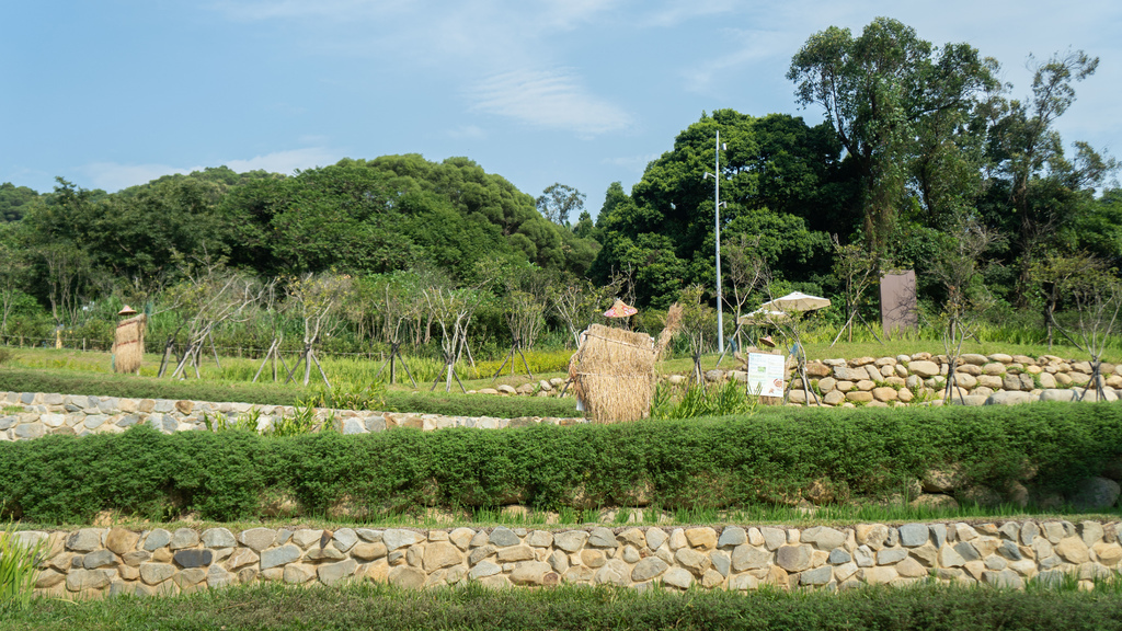 大有梯田生態公園-198.jpg