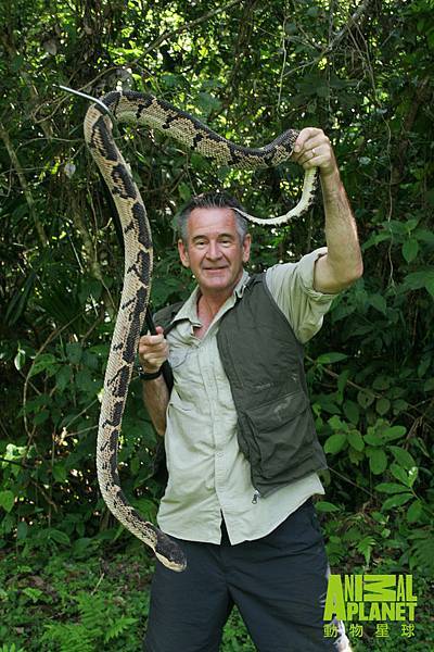 馬文冒險與哥斯大黎加第一毒蛇巨腹蛇近距離接觸