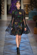 Erdem 2015秋冬RTW 斗篷 $74,900 - 洋裝 $682,00