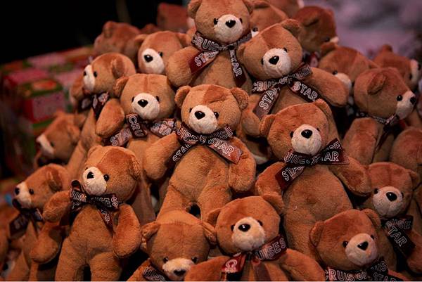 S_慈善愛心熊於12月1日至28日開始義賣每組200元