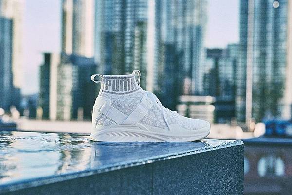 PUMA IGNITE evoKNIT (白)_建議售價$4,980