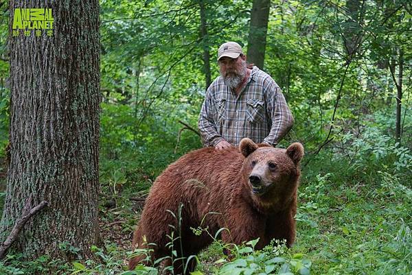動物星球頻道《再見灰熊》紀錄傑夫沃森喚醒熊類野性，將兩隻從小被人類養大的棕熊野放，回歸大自然懷抱