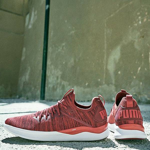 PUMA IGNITE Flash evoKNIT NT$2,980