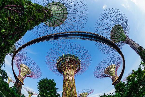 6-濱海灣花園（Garden by the Bay）.jpg