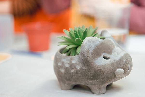 4.ç¿°åé
åºè±è®èå°æ³¥DAKAå平鿾çæ
循ç°å·¥å» åä½ï¼ç¨å®¶æ¨åºæ°´æ³¥æä½å·¥ä½å課ç¨-å¤èæ¤ç©çå¨DIYã.jpg 4.ç¿°åé
åºè±è®èå°æ³¥DAKAå平鿾çæ
循ç°å·¥å» åä½ï¼ç¨å®¶æ¨åºæ°´æ³¥æä½å·¥ä½å課ç¨-å¤èæ¤ç©çå¨DIYã.jpg