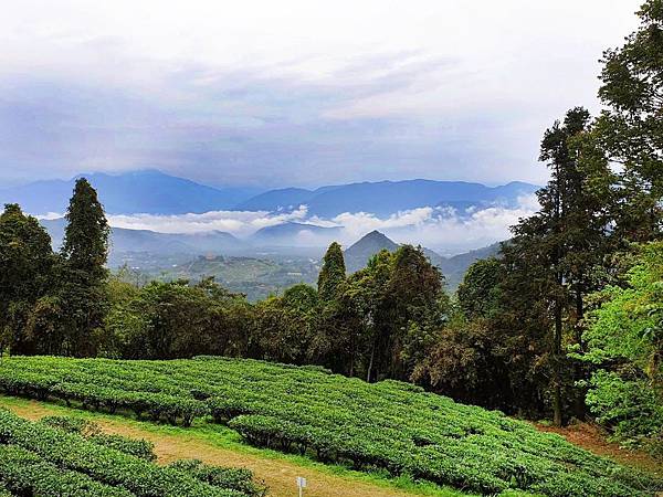 é²åæ¨åºå¨æ°è¡ç¨ãè²åå±±è¸éãï¼å±±å¾è·¯ç·è¦ªæ°åå¯æ¢è¨ªæ¥ææ½­è¶ååæ¬£è³å±±åµç¾æ¯.jpg