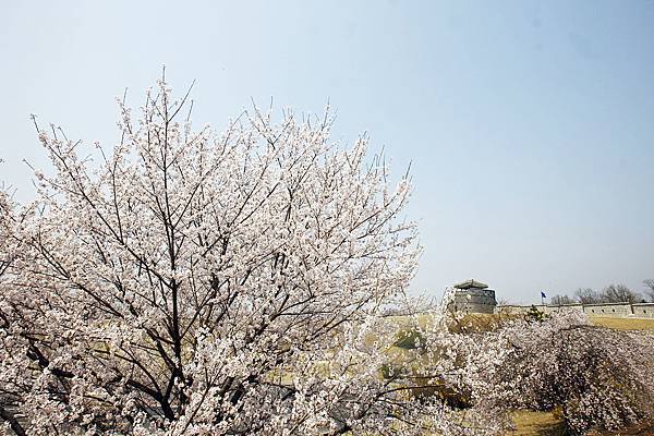 水原華城-01.jpg