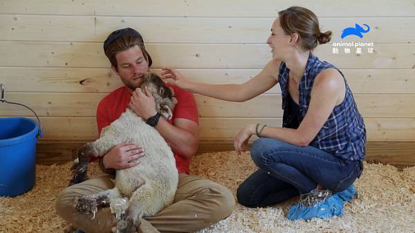 【動物星球頻道新聞稿】《愛心動物農場》 圖說： 相信人類的羔羊金婕，在丹的擁抱中 安心睡著。.jpg