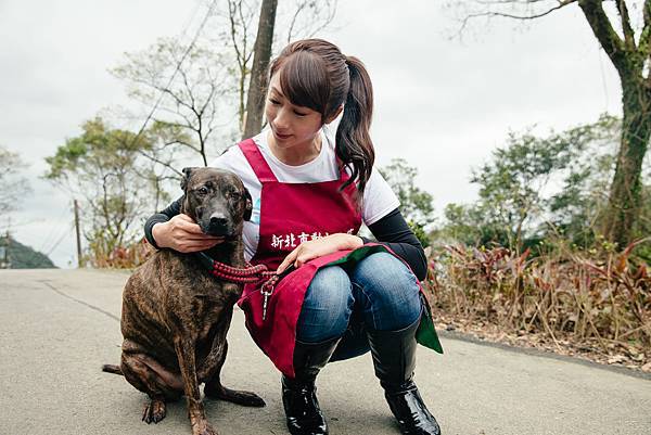 台北市議員許淑華至新北市瑞芳區動物之家擔任一日志工並拍攝宣導影片，所內還有很多健康親人的狗狗正在等待一個幸福的家。（圖由台灣防止虐待動物協會提供）.jpg