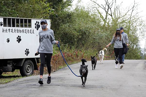 台灣防止虐待動物協會長期至新北市瑞芳動物之家服務使所內動物能獲得散步機會，邀請更多民眾一同加入！（圖由台灣防止虐待動物協會提供）.jpg