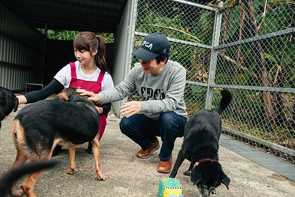 副總統賴清德（左）與台北市議員許淑華至新北市瑞芳區動物之家擔任一日志工，台灣防止虐待動物協會提醒您每天請至少專心陪伴狗狗至少10_15分鐘，來維持狗狗的身心平衡喔。（圖由台灣防止虐待動物協會提供）.jpg