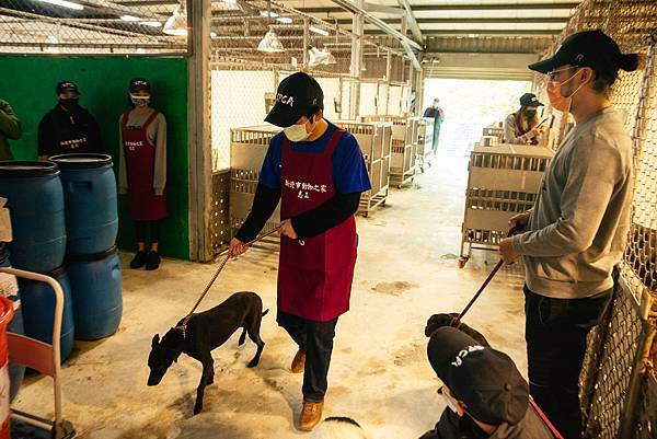 副總統賴清德擔任新北市瑞芳區動物之家一日志工，帶領待領養狗狗放風散步，增進他們的運動機會。（圖由台灣防止虐待動物協會提供）.jpg