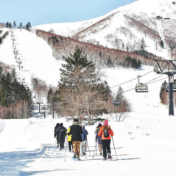 〔圖六〕日本為國人最愛旅遊的國家，當地滑雪愛好者早已迫不及待預訂.jpg