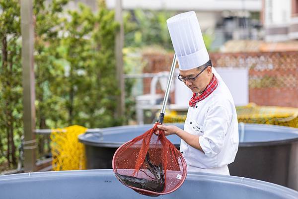 兆品創礁溪先例，飯店門前廣場就可取得新 鮮活魚！引活泉設中繼池，讓鱘龍魚、石斑魚 游進礁溪！.jpg