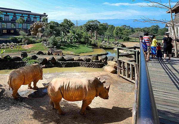 新竹關西六福莊生態度假旅館，推出可望向動物生態園區、甚至可與動物們近距離互動的招牌剛果、肯亞客房住宿，專案含隔日早餐三客以及六福村兩日無限制進出手環3位，平日入住只要7,888元起、約5.1折優惠(KKday提供).jpeg