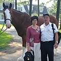 IMG_2941-散步時看到馬伕牽馬..又上去拍了,日本人真好..很配合地停下來讓我們拍照.JPG