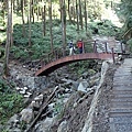 20110206-0019.JPG