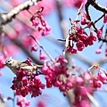 20110206-0105.JPG