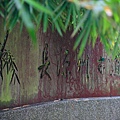 IMG_9141-小半天景點5-長源圳生態步道.JPG