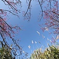 20110206-0090.JPG