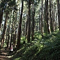 20110206-0042.JPG