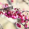 20110206-0103.JPG