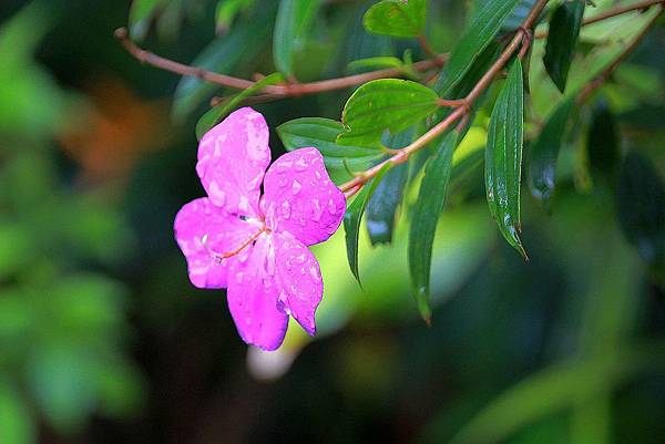 百貨_190311_0005.jpg 百貨_190311_0005.jpg