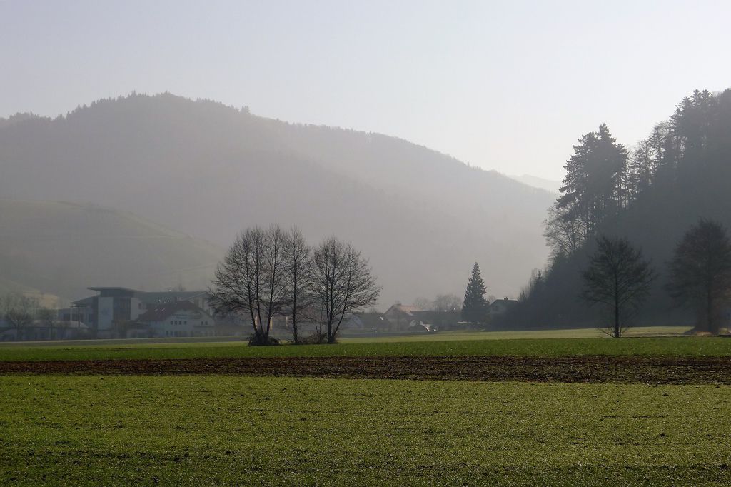 P1220187.JPG P1220187.JPG