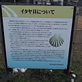 20130209_152452.jpg