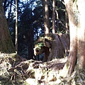 20130309_075518.jpg