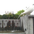 20130317_162911.jpg