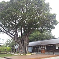 20130319_141628.jpg