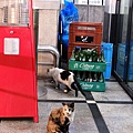 DSCF3090.JPG