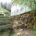 IMAG1238